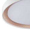 Brilliant ronde LED-plafondlamp Waldo, wit, lichtkleur instelbaar 3000-6500 Kelvin