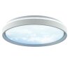 Brilliant grijze LED plafondlamp Sky-Dream, instelbare lichtkleur 3000-6500 Kelvin