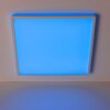 Brilliant RGB LED-plafondlamp Tanida, dimbaar met afstandsbediening, 4000 Kelvin neutraalwit