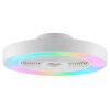 Brilliant witte LED-plafondlamp Catania, ventilator, instelbare lichtkleur 2700-6500 Kelvin