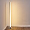 Flaut Staande lamp LED Chroom, 1-licht, Afstandsbediening, Kleurwisselaar