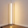 Flaut Staande lamp LED Chroom, 1-licht, Afstandsbediening, Kleurwisselaar