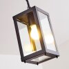 Caudry Buitenhanglamp Zwart, 1-licht