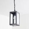 Caudry Buitenhanglamp Zwart, 1-licht