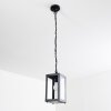 Caudry Buitenhanglamp Zwart, 1-licht