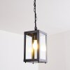 Caudry Buitenhanglamp Zwart, 1-licht