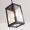 Caudry Buitenhanglamp Zwart, 1-licht