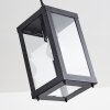 Caudry Buitenhanglamp Zwart, 1-licht