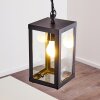 Caudry Buitenhanglamp Zwart, 1-licht