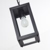 Caudry Buitenhanglamp Zwart, 1-licht