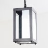 Caudry Buitenhanglamp Zwart, 1-licht
