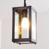 Caudry Buitenhanglamp Zwart, 1-licht