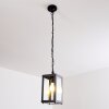 Caudry Buitenhanglamp Zwart, 1-licht