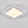 Siguna Plafondpaneel LED Wit, 1-licht