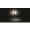 Philips Hue White Turaco Sokkellamp Antraciet, 1-licht