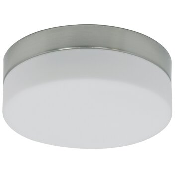 Steinhauer Ceiling and Wall Plafondlamp LED roestvrij staal, 1-licht