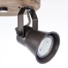 Brilliant Seed Spotlamp Hout donker, Zwart, 2-lichts