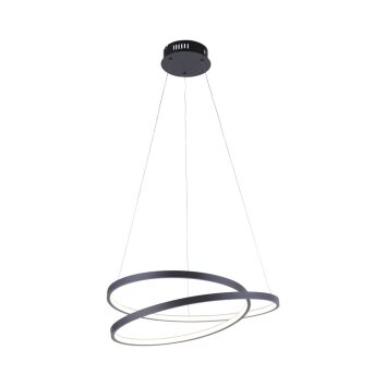 Paul Neuhaus ROMAN Hanglamp LED Zwart, 1-licht