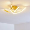 Aranu Plafondlamp LED Goud, 4-lichts