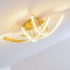 Aranu Plafondlamp LED Goud, 4-lichts