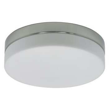 Steinhauer Ceiling and Wall Plafondlamp LED roestvrij staal, 1-licht