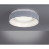 Leuchten-Direkt DANTE Plafondlamp LED Grijs, 1-licht, Afstandsbediening