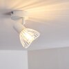 Holbol Plafondlamp Wit, 1-licht