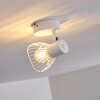 Holbol Plafondlamp Wit, 1-licht