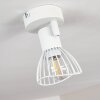 Holbol Plafondlamp Wit, 1-licht