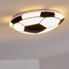 Sakka Plafondlamp LED Zwart, Wit, 1-licht