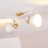 Banjul Plafondlamp Hout licht, Wit, 2-lichts