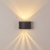 Windhoek Buiten muurverlichting LED Antraciet, 2-lichts