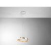 Bopp BREAK Hanglamp LED Goud, 1-licht