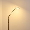 Gulkana Staande lamp LED Nikkel mat, 1-licht, Kleurwisselaar