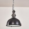 Ilvy Hanger LED Zwart, 1-licht