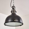 Ilvy Hanger LED Zwart, 1-licht