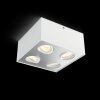 Philips Box Plafondlamp LED Wit, 4-lichts