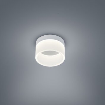 Helestra LIV Plafondlamp LED Grijs, 1-licht