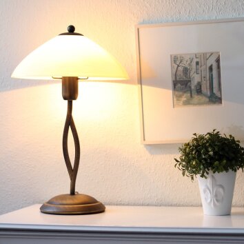 Steinhauer CAPRI Tafellamp Brons, 1-licht