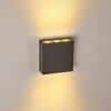 Tinglev Buiten muurverlichting LED Antraciet, 1-licht
