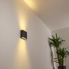 Tinglev Buiten muurverlichting LED Antraciet, 1-licht