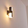 Baulund Buiten muurverlichting LED Antraciet, 1-licht, Bewegingsmelder