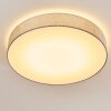 Tallaboa Plafondlamp LED Zilver, 1-licht, Afstandsbediening