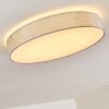Tallaboa Plafondlamp LED Zilver, 1-licht, Afstandsbediening