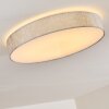 Tallaboa Plafondlamp LED Zilver, 1-licht, Afstandsbediening