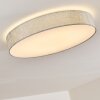 Tallaboa Plafondlamp LED Zilver, 1-licht, Afstandsbediening