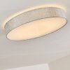 Tallaboa Plafondlamp LED Zilver, 1-licht, Afstandsbediening