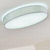 Tallaboa Plafondlamp LED Zilver, 1-licht, Afstandsbediening