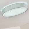 Tallaboa Plafondlamp LED Zilver, 1-licht, Afstandsbediening