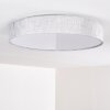Tallaboa Plafondlamp LED Zilver, 1-licht, Afstandsbediening